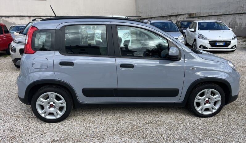 Fiat Panda 1.0 FireFly S&S Hybrid Red full