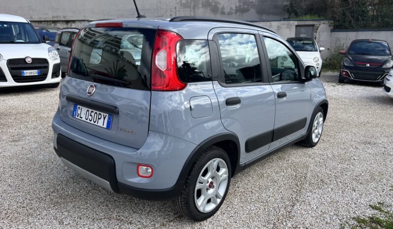 Fiat Panda 1.0 FireFly S&S Hybrid Red full