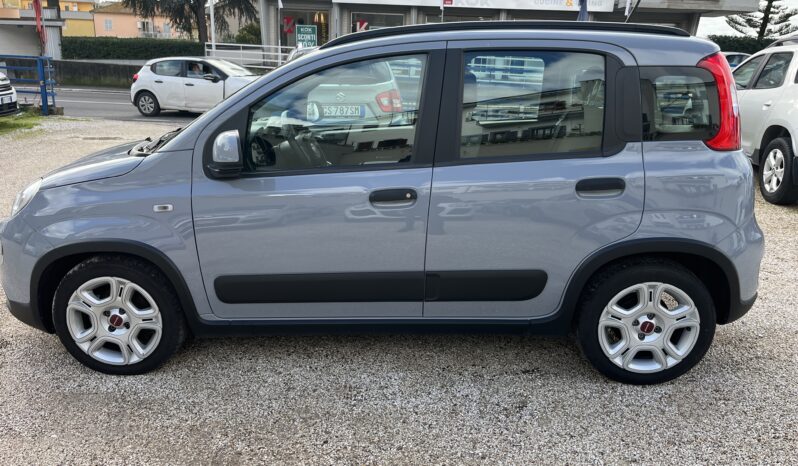 Fiat Panda 1.0 FireFly S&S Hybrid Red full