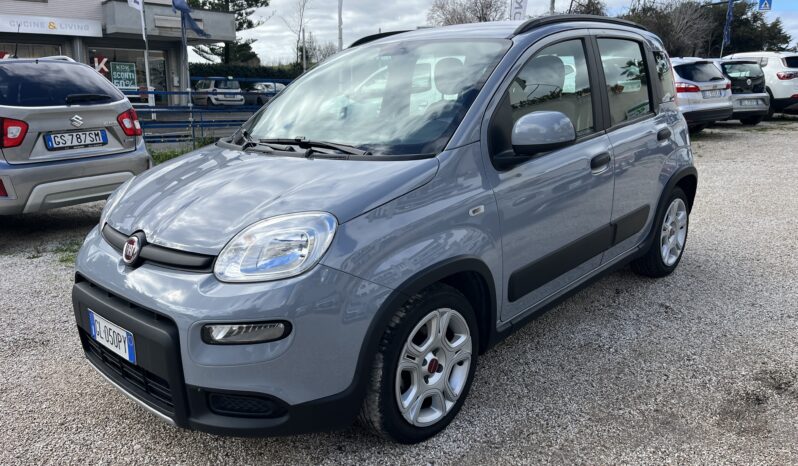 Fiat Panda 1.0 FireFly S&S Hybrid Red