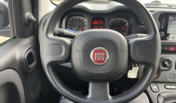 Fiat Panda 1.0 FireFly S&S Hybrid Red full